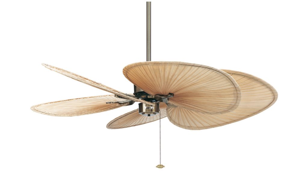 Fan Man Lighting